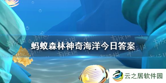 哪种鲨鱼遇到危险时会吸水膨胀 神奇海洋12月29日答案最新